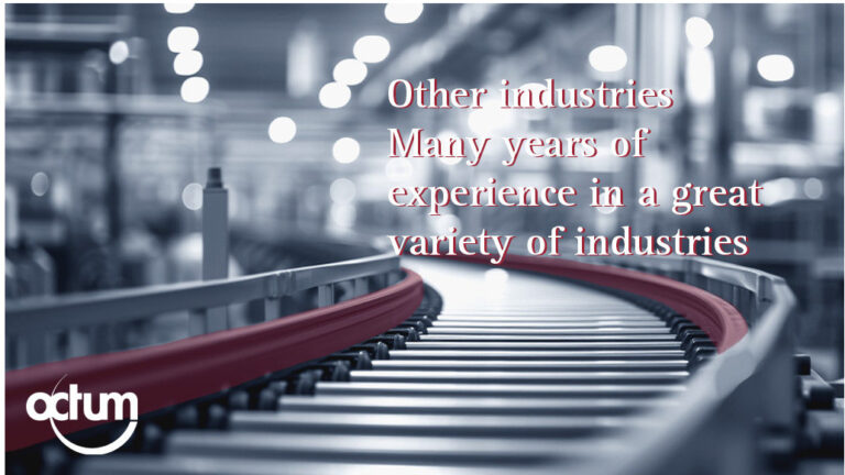 Other industries: Many years of experience in a great variety of industries