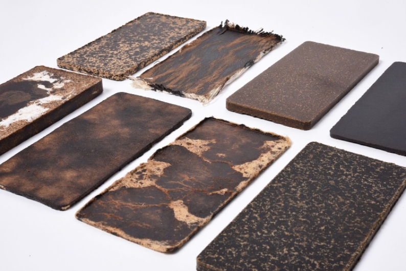 LignoLight - Material auf Basis von Lignin