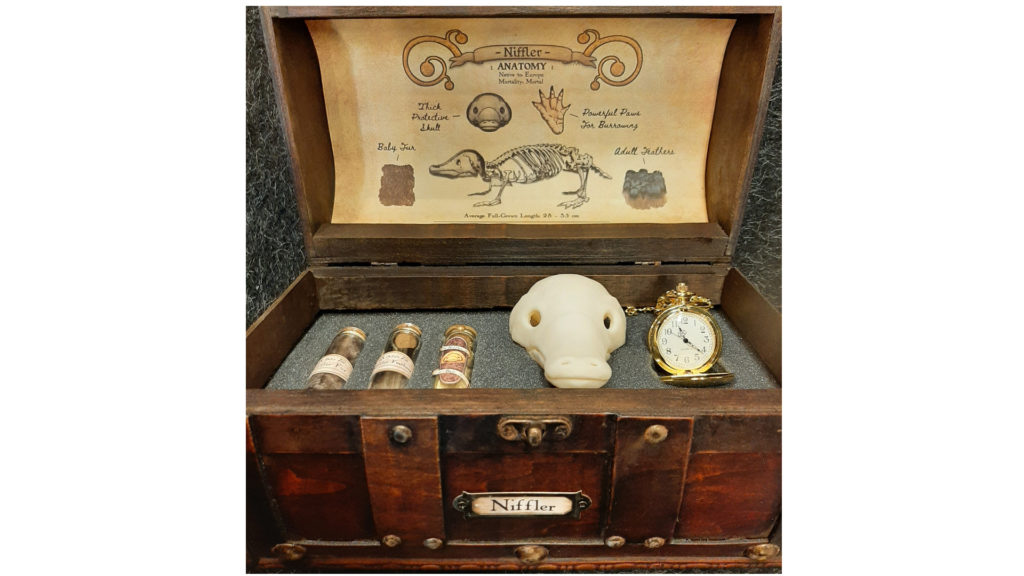 Fantastic Creature Anatomy Chest