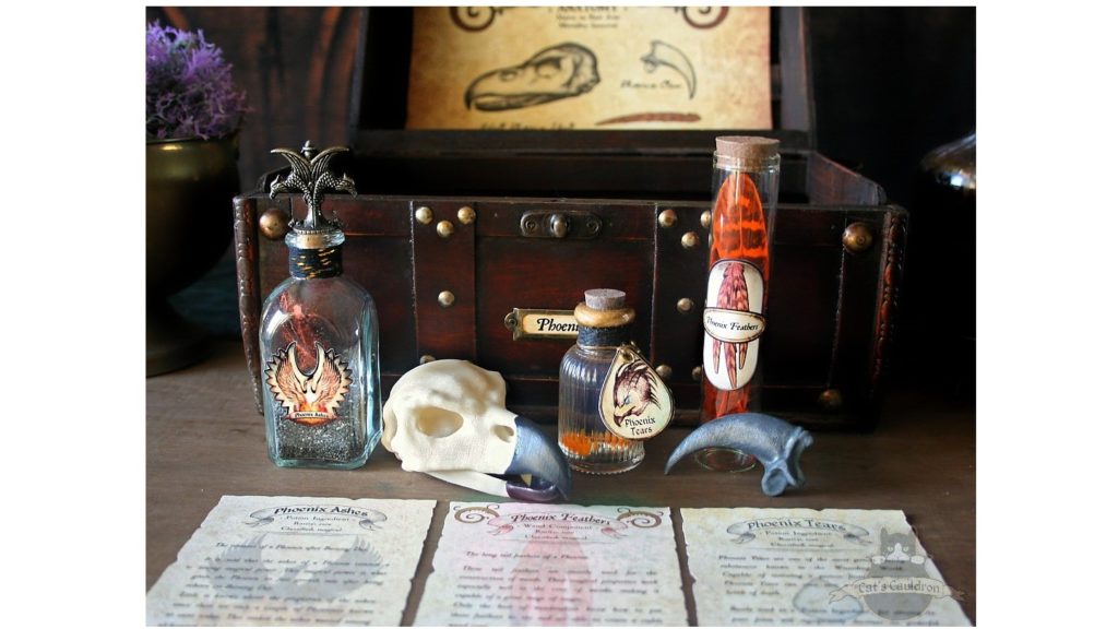 Handmade Anatomy & Potions Chests