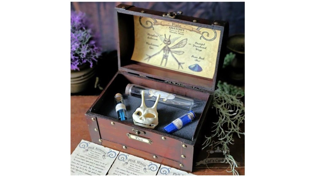 Pixie Anatomy Chest with Pixie Skull & Potion Ingredients