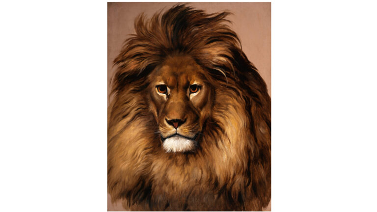 Lion’s Head – Eugène Verboeckhoven