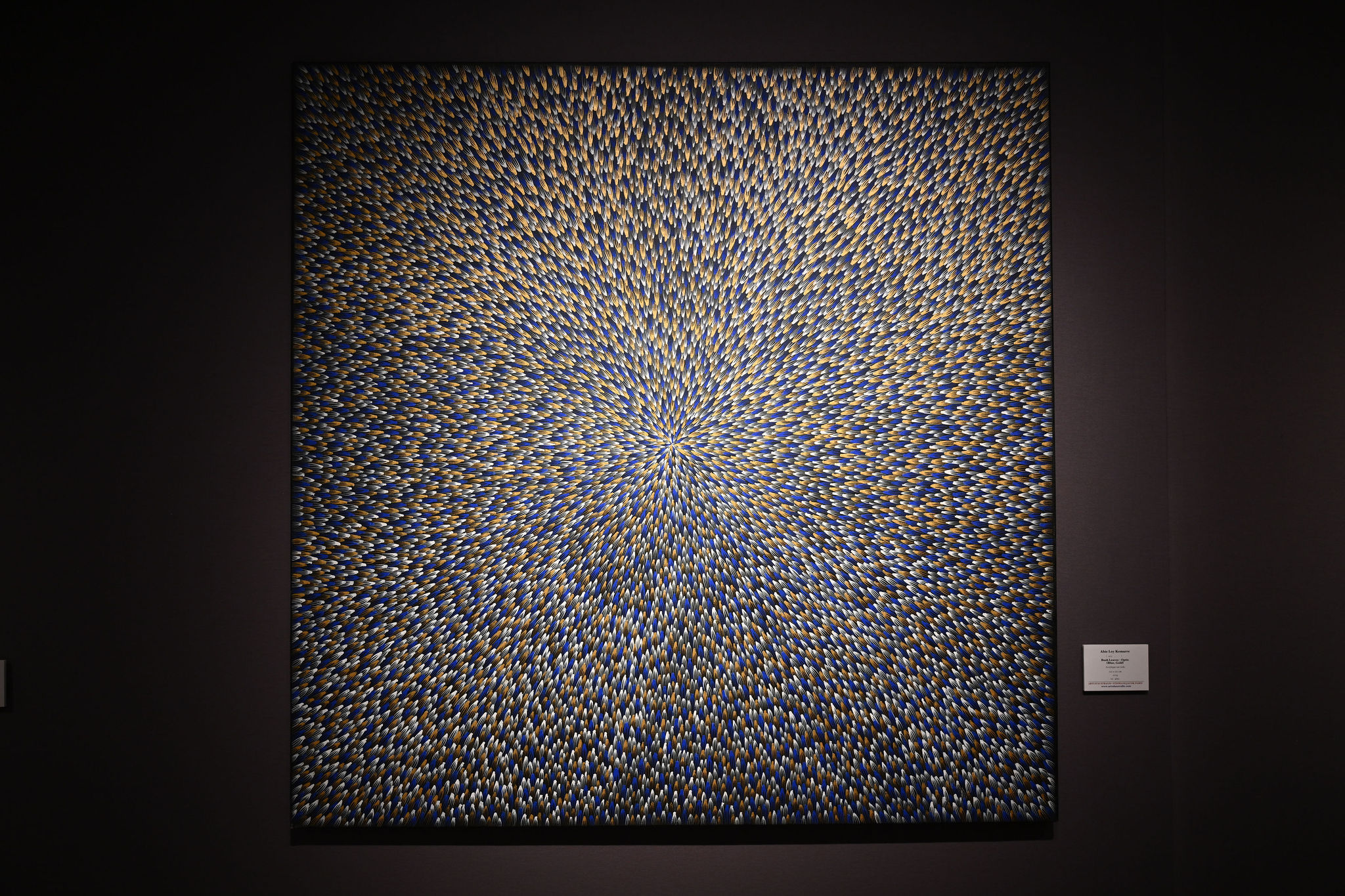 DAVID PLAS PHOTOGRAPHY