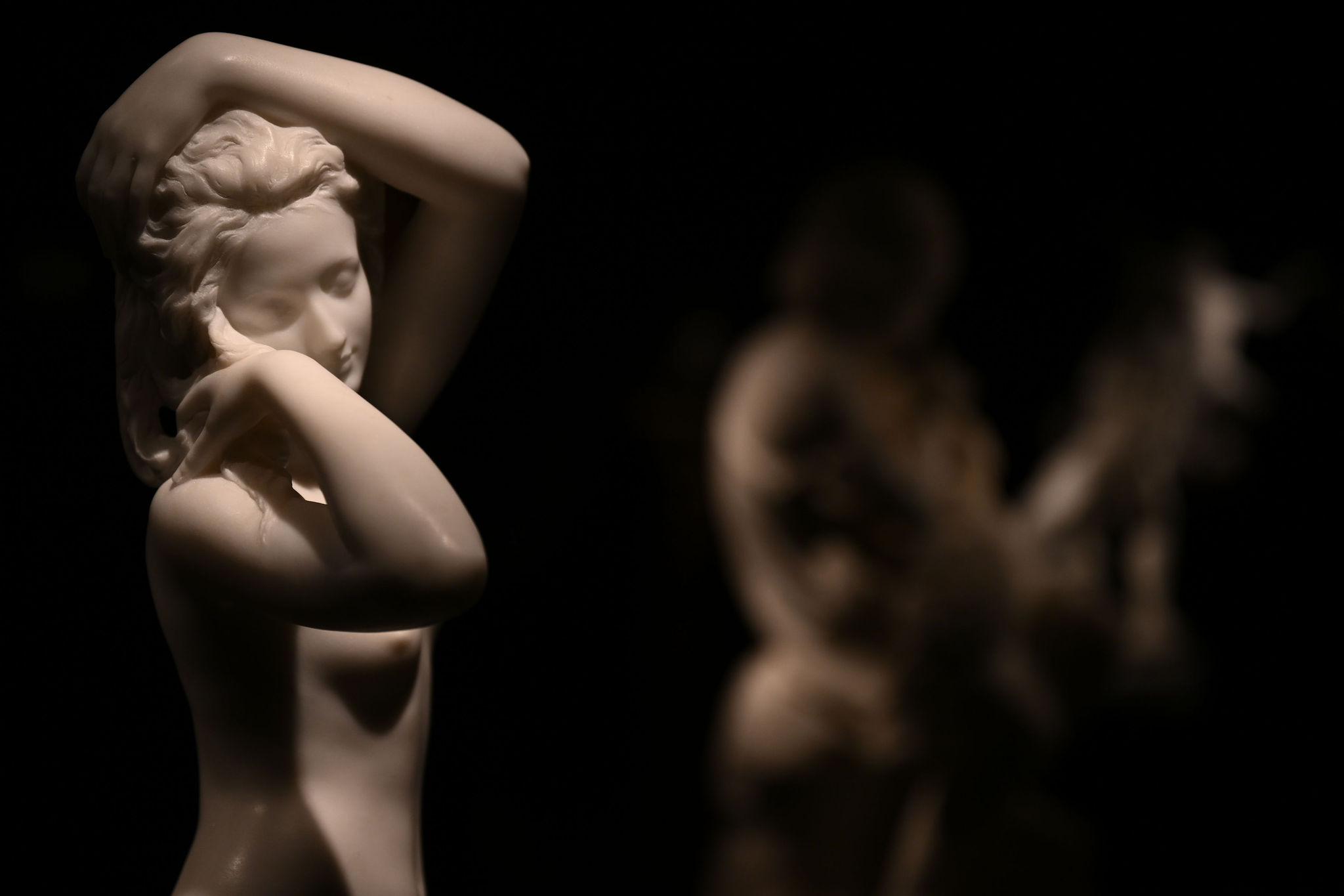 DAVID PLAS PHOTOGRAPHY