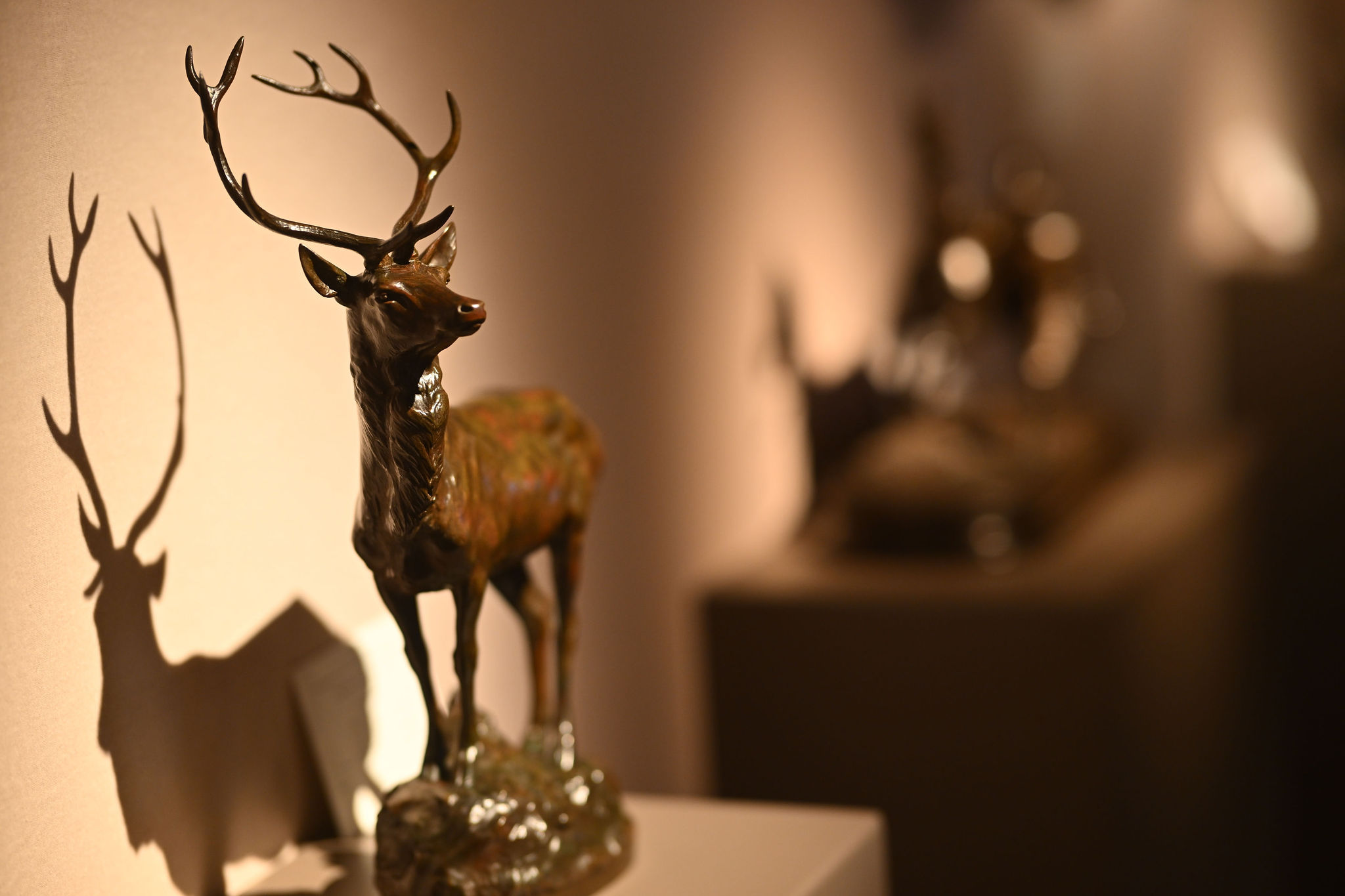 DAVID PLAS PHOTOGRAPHY