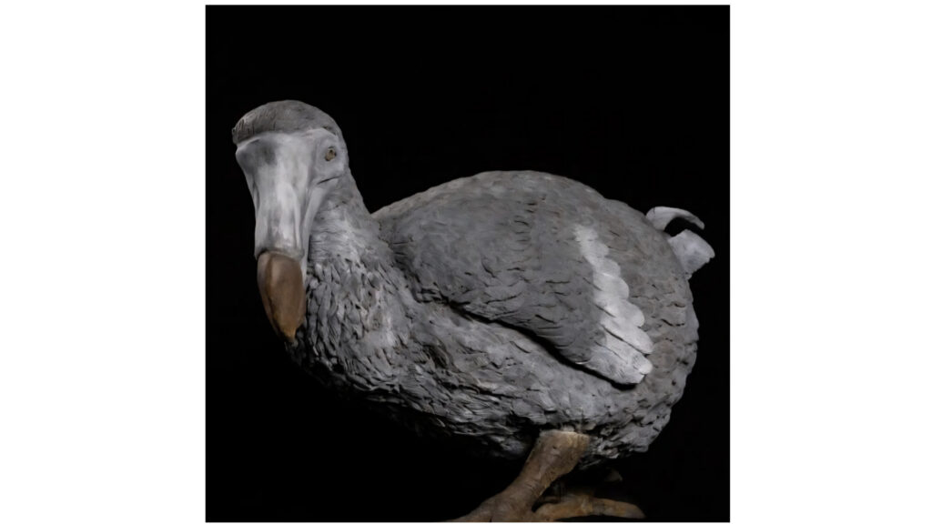 Savina Gillès de Pélichy