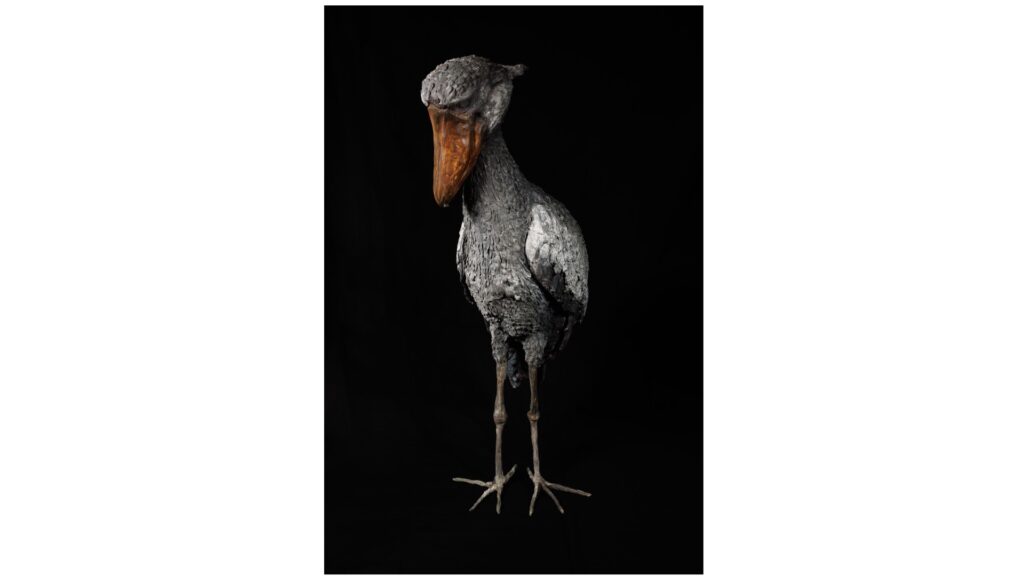 Savina Gillès de Pélichy