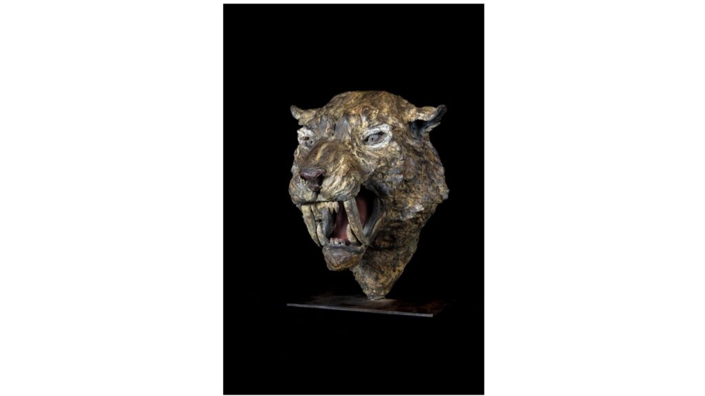 Savina Gillès de Pélichy