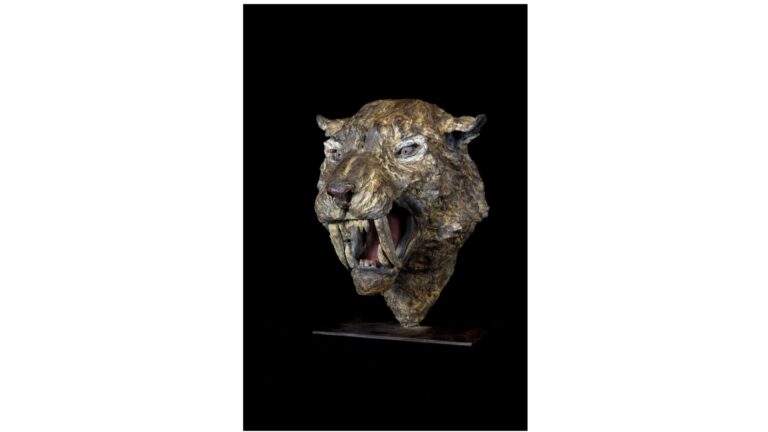 Savina Filles de Pélichy