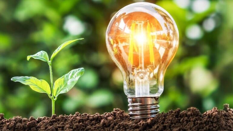 Umwelt & Nachhaltigkeit