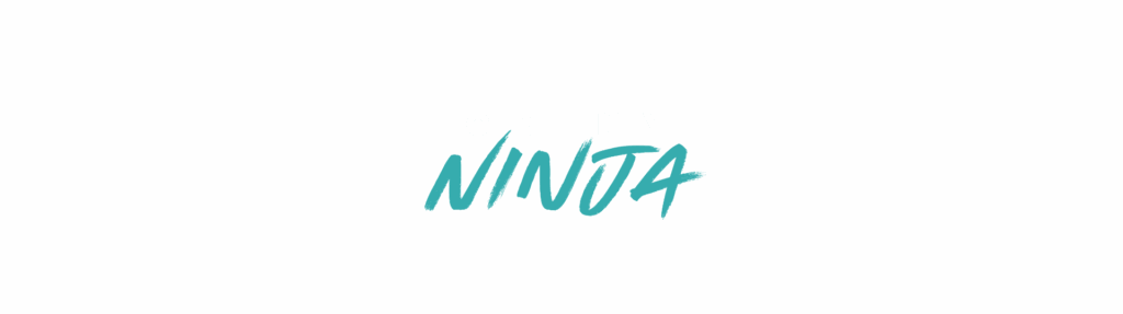 Geeky Ninja
