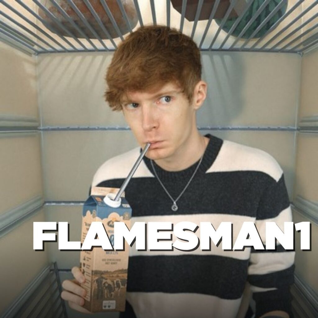 Portrait of the youtube profile Flamesman1