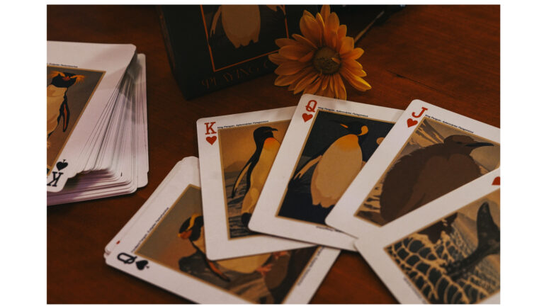 Playing cards
