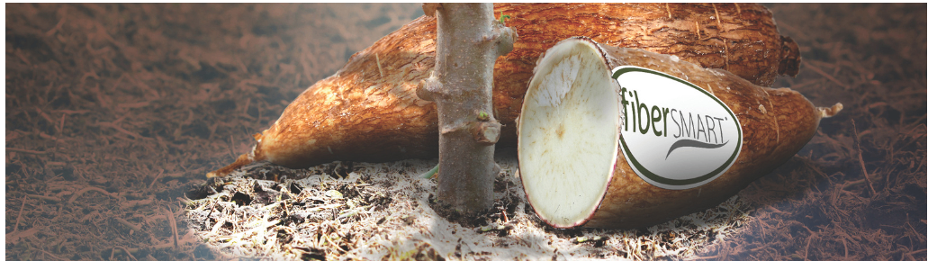 Anderson Advanced Ingredients BV