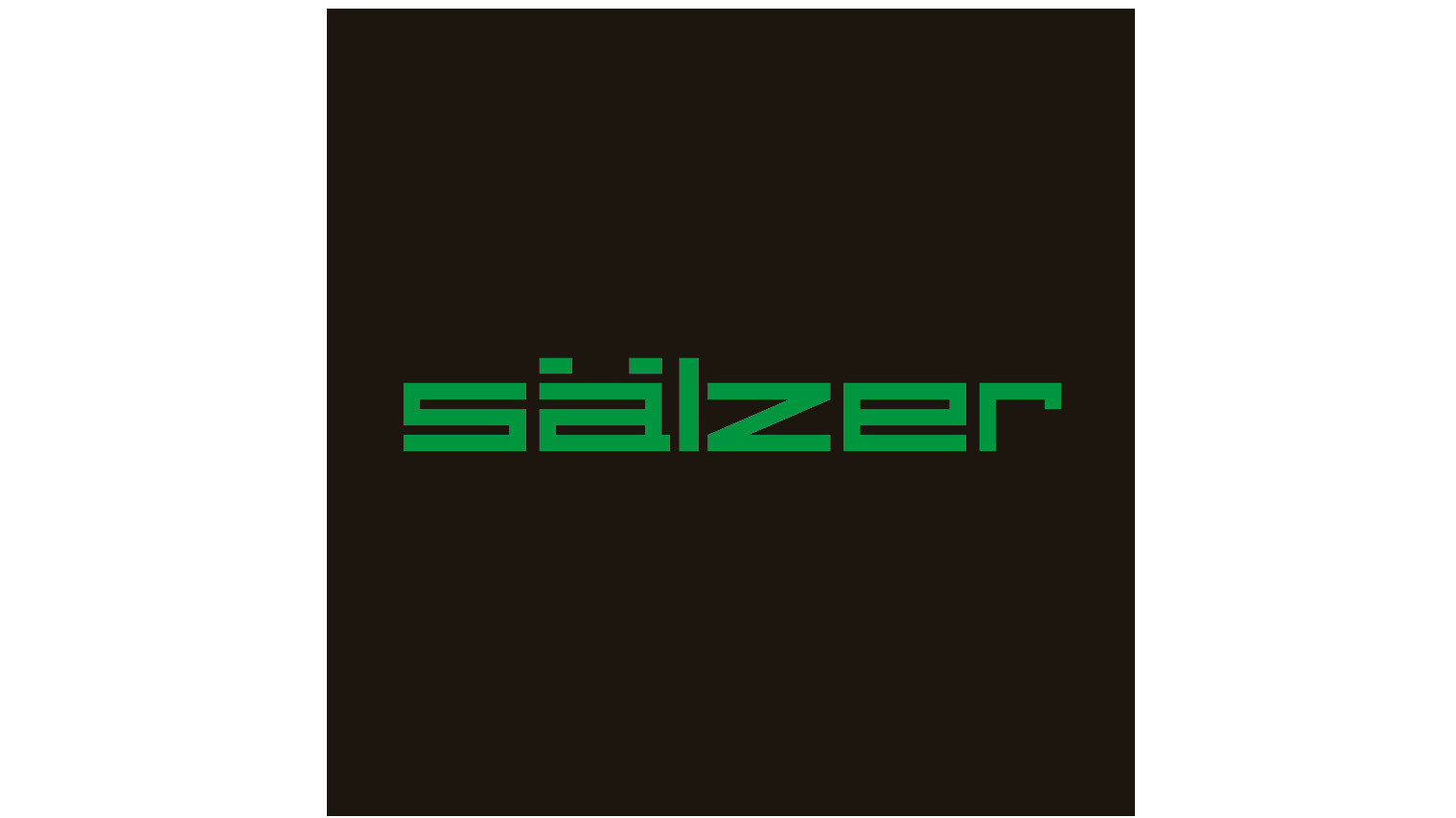 Sälzer Electric GmbH