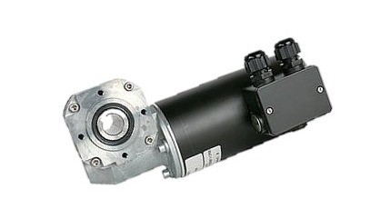 BLDC Motor mit Schneckengetriebe