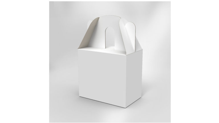Box with carry handle