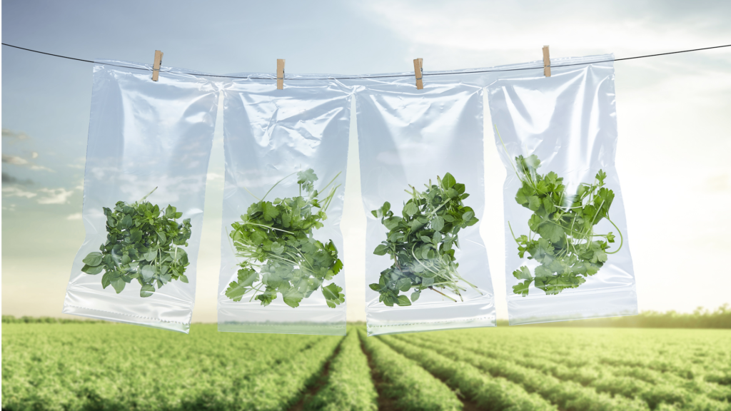 Sustainable packaging solutions