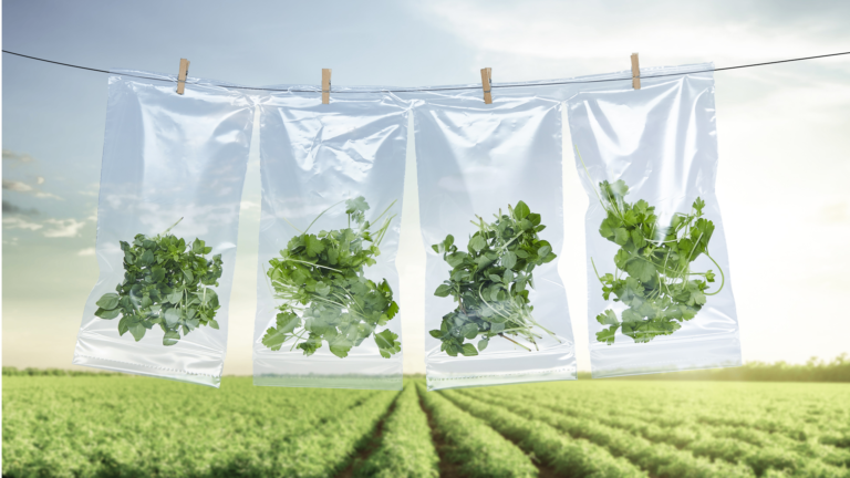 Sustainable packaging solutions