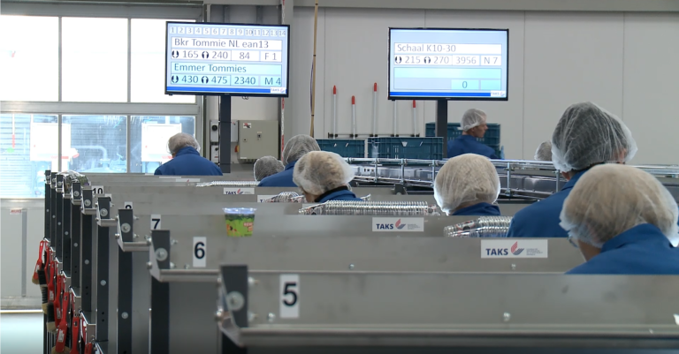 Flexible Verpackungsstraße R-Packing für Verhoeven