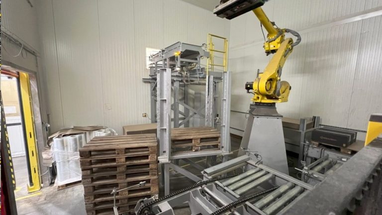 Robot palletizer backery