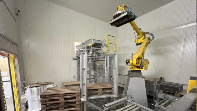 Robot palletizer backery