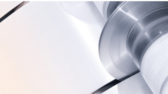 Stainless steel strips