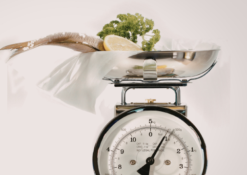 Ingredienser Food Innovation