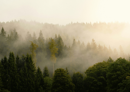 Klimat Food Innovation