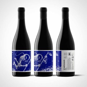 45_el-mozo-wines-el-cosmonauta