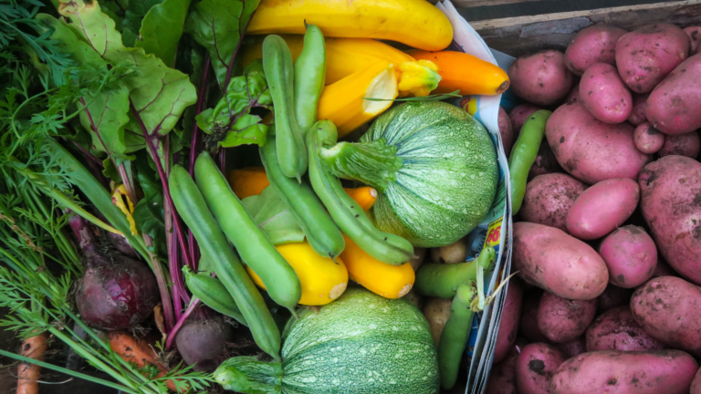 Lisa Lemke organic food