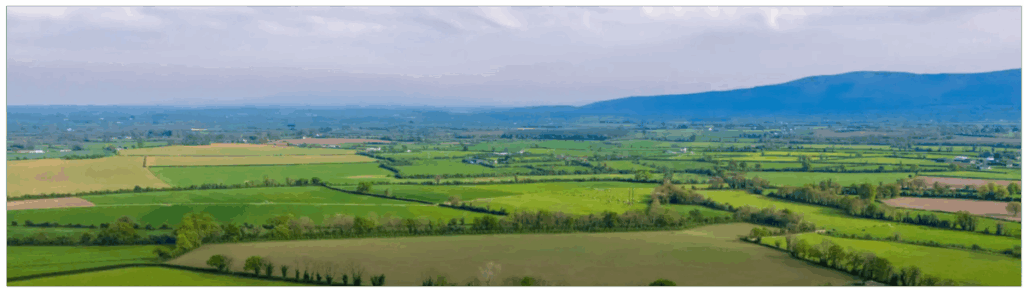 EU Organic Lamb from Ireland