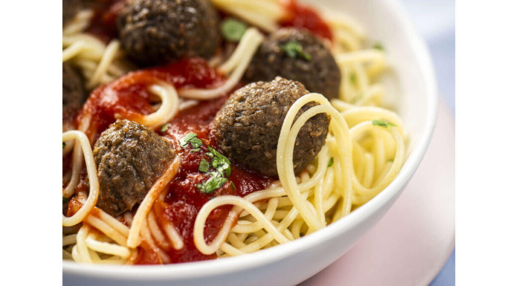 Fungi Food – Fungi Balls