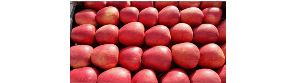 Gruppa Organic Sp. z o.o.