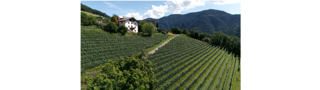 Widum Baumann 1048 BIO