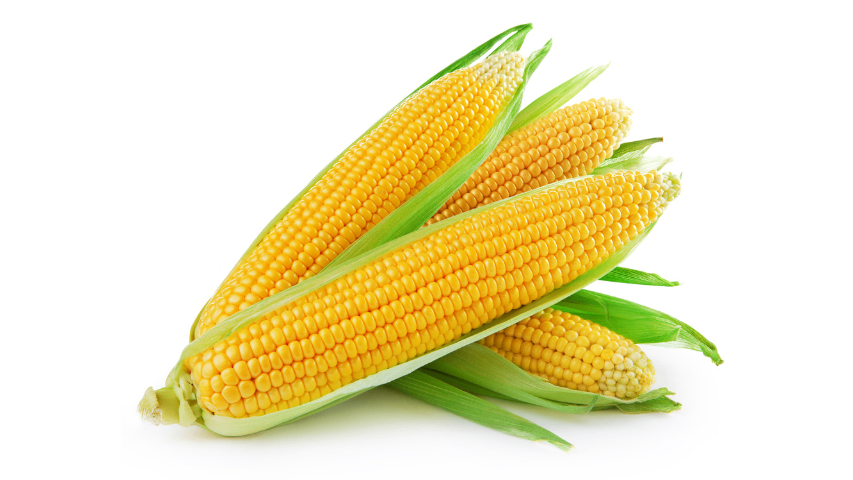 Organic corn