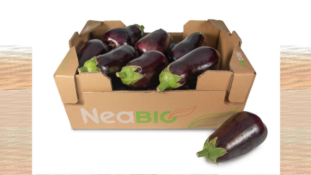 Aubergine