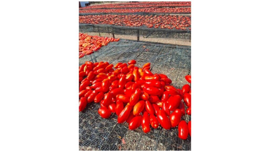 Soltorkad till perfektion, på det naturliga sättet