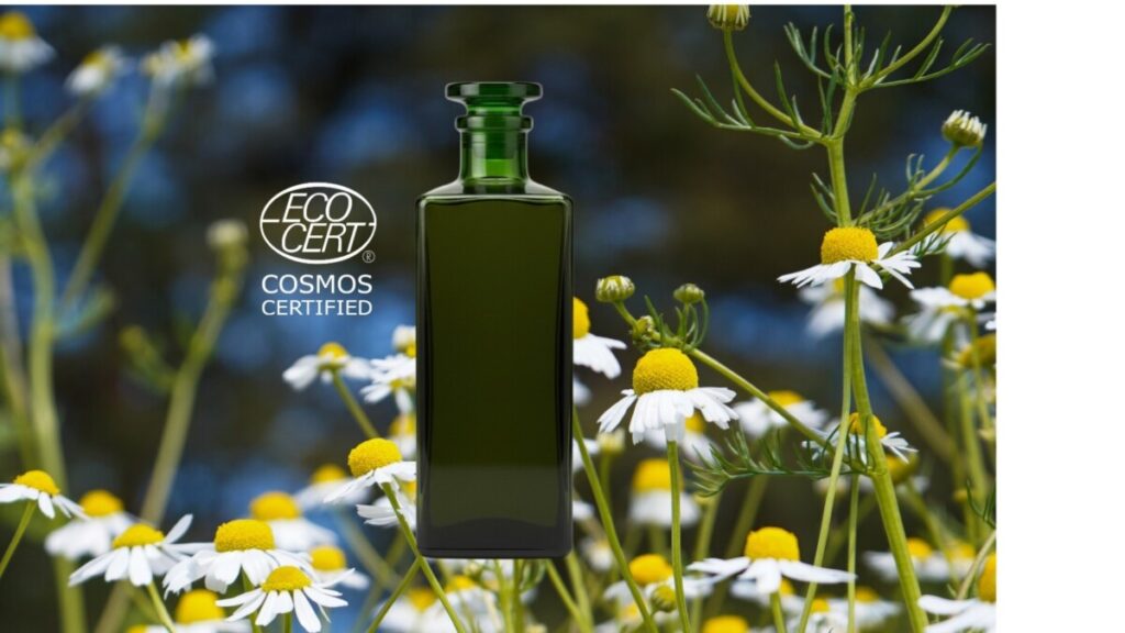 Ecocert certified organic German chamomile (Matricaria recutita) essential oil