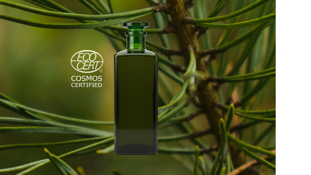 Ecocert certified organic Scots pine (Pinus sylvestris) essential oil
