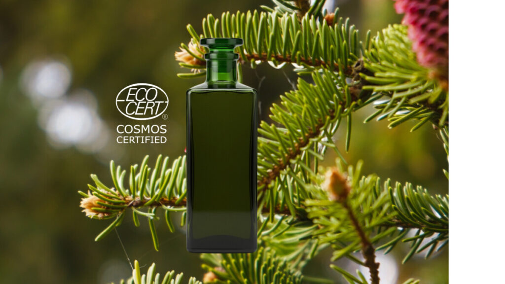 Ecocert certified organic Norway spruce (Picea abies) essential oil