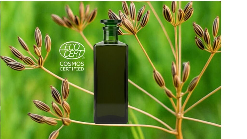 Ecocert certified organic Caraway (Carum carvi) essential oil