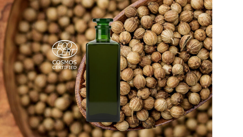 Ecocert certified organic Coriander (Coriandrum sativum) essential oil