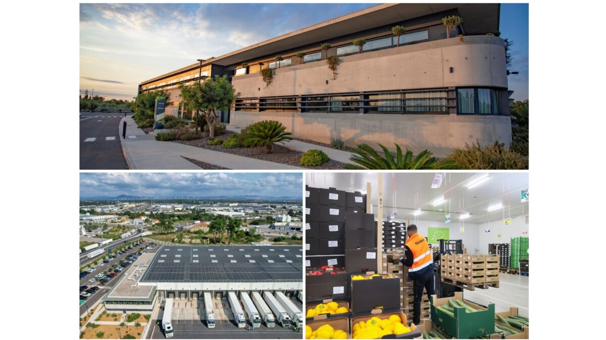 A modern platform and the presence of a team in Murcia