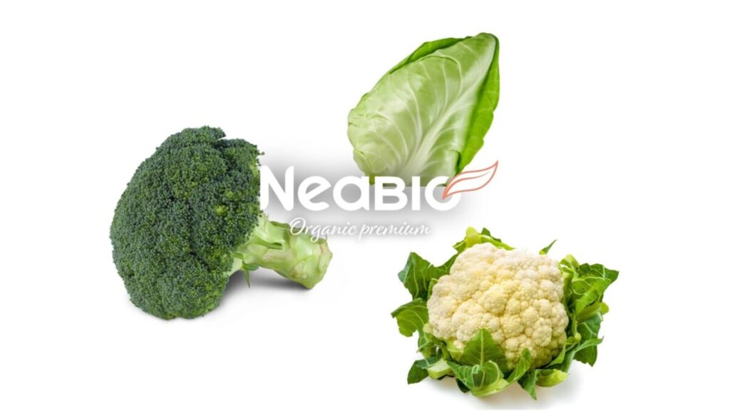 Broccoli, pointed cabbage, cauliflower