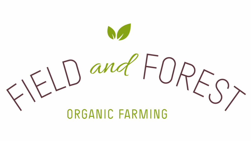 Ekologisk Dill (Anethum graveolens)