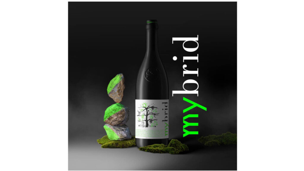 Mybrid bianco – PIWI wine – wine from resistant grape