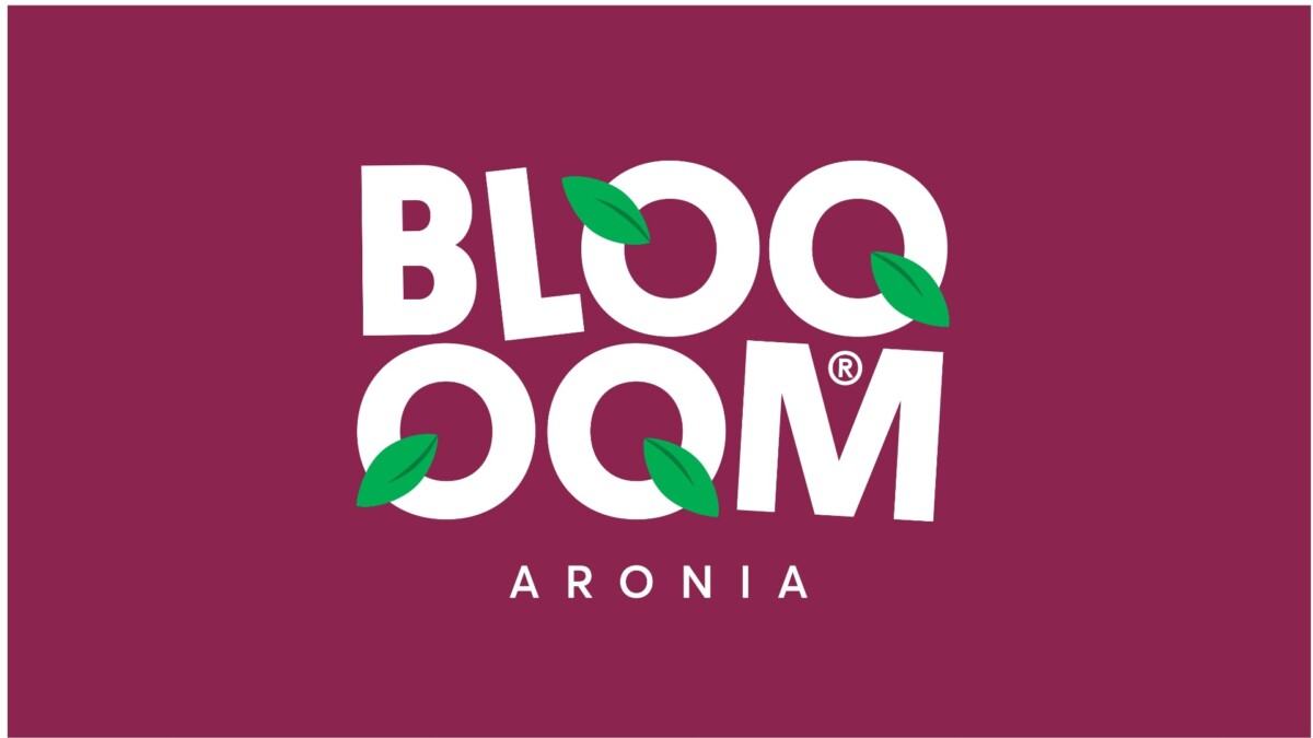 Bloom Aronia