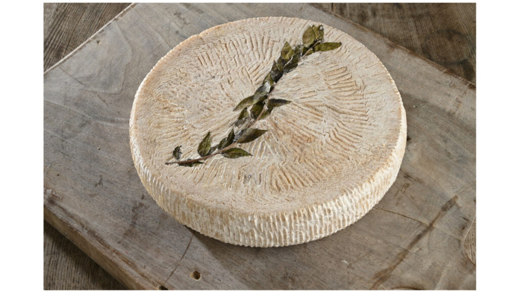 Toma Reale – Halvmogen Toma-ost gjord på fårmjölk