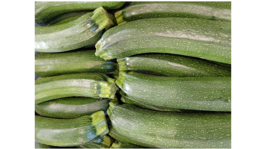 ORGANIC ZUCHINIS